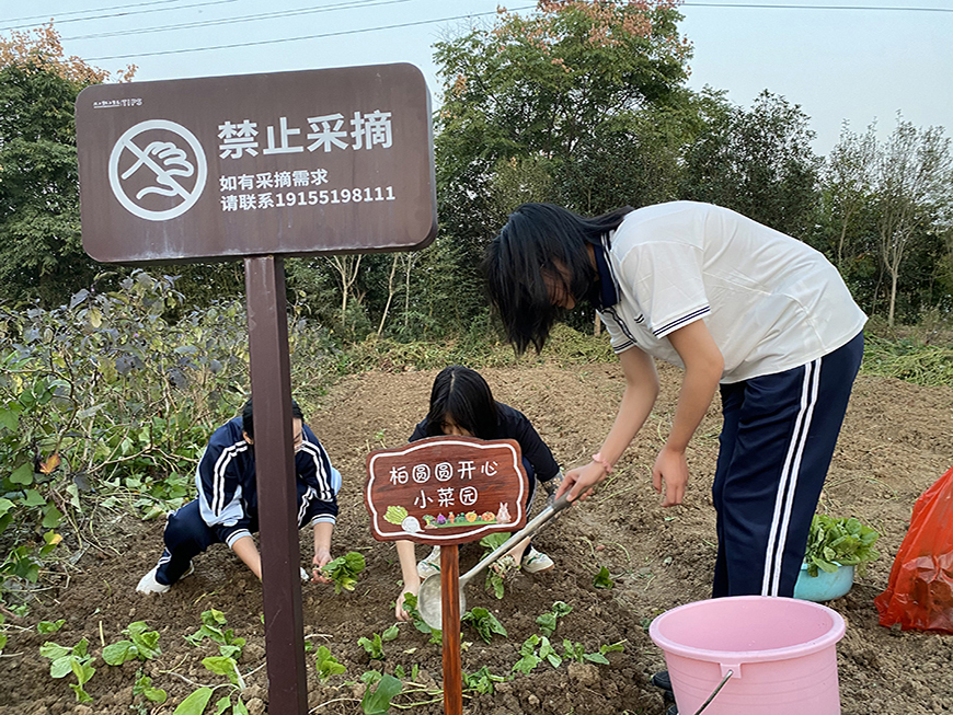 叛逆
