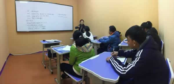 高考教育机构
