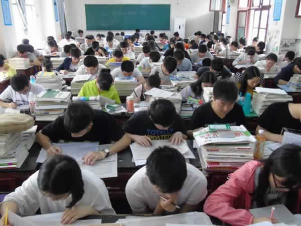 高考教育机构