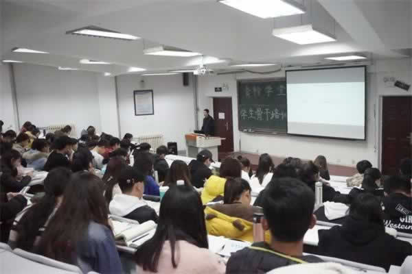 高考教育机构
