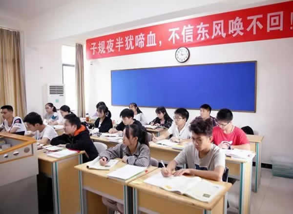 高考教育机构