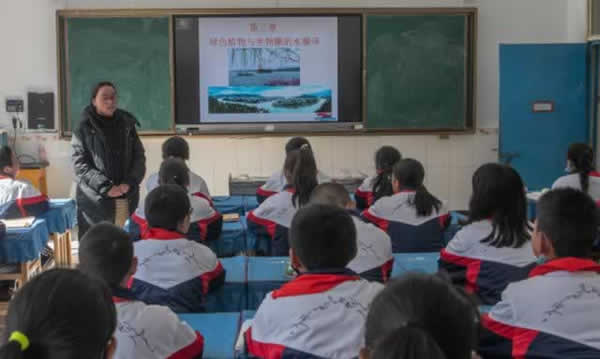 高考教育机构