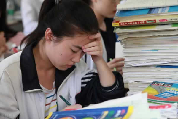 高考教育机构