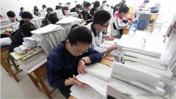 高考教育机构