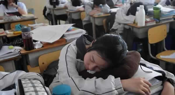 高考教育机构