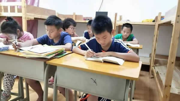 高考教育机构
