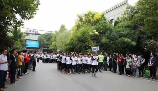高考教育机构