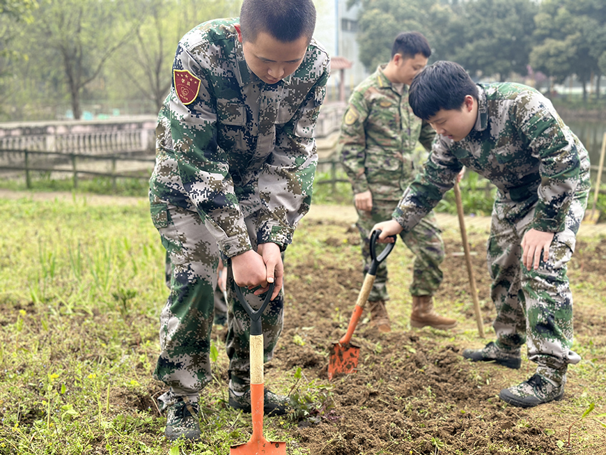 叛逆模块