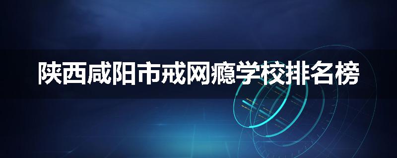 陕西咸阳市戒网瘾学校排名榜