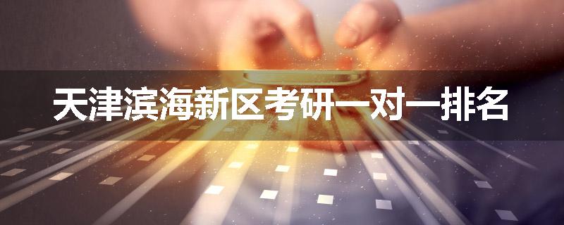 天津滨海新区考研一对一排名