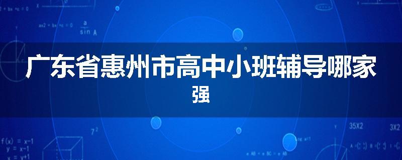 广东省惠州市高中小班辅导哪家强