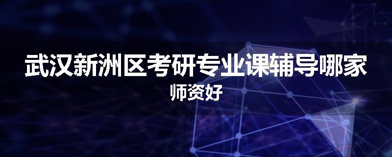 武汉新洲区考研专业课辅导哪家师资好