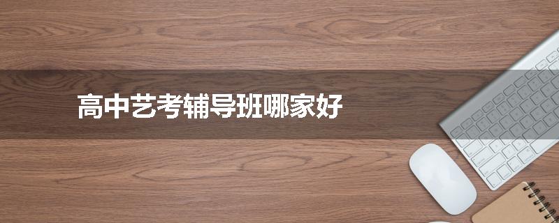 高中艺考辅导班哪家好