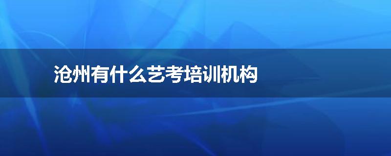 沧州有什么艺考培训机构