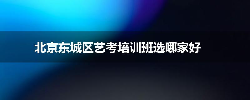 北京东城区艺考培训班选哪家好