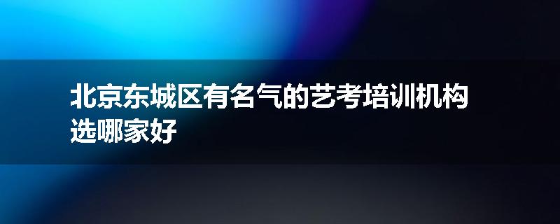 北京东城区有名气的艺考培训机构选哪家好