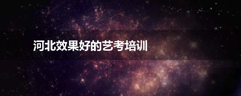 河北效果好的艺考培训
