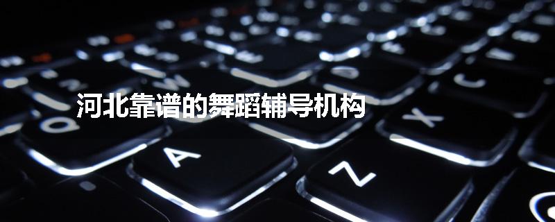 河北靠谱的舞蹈辅导机构