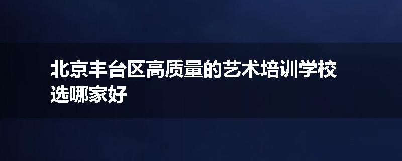 北京丰台区高质量的艺术培训学校选哪家好