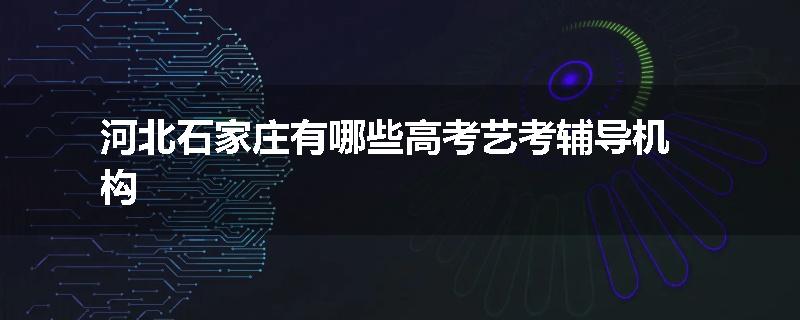 河北石家庄有哪些高考艺考辅导机构