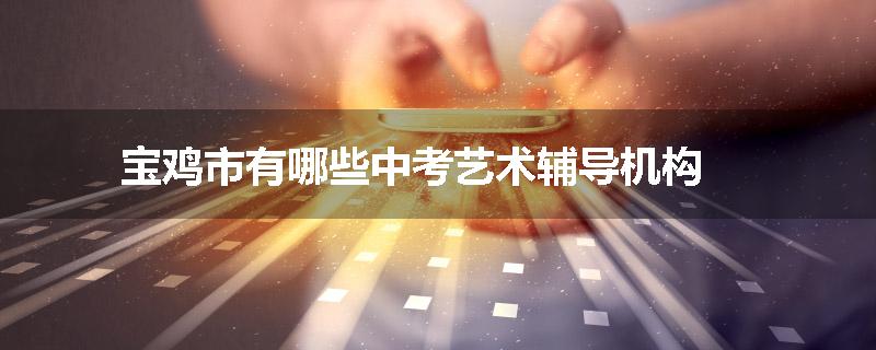 宝鸡市有哪些中考艺术辅导机构