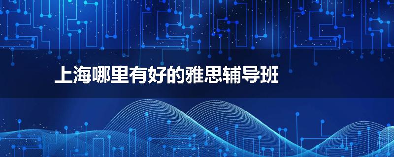 上海哪里有好的雅思辅导班