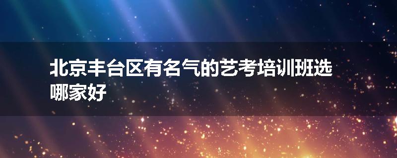 北京丰台区有名气的艺考培训班选哪家好