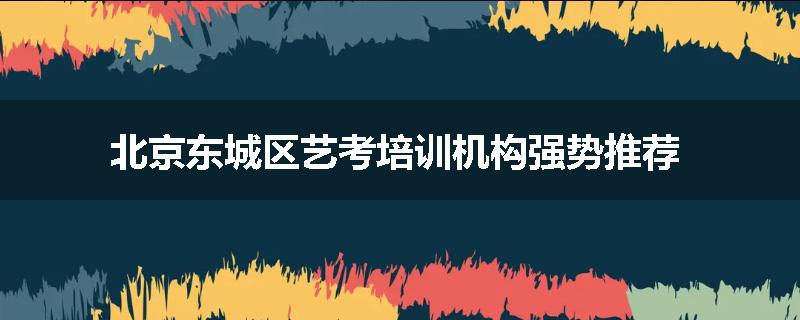 北京东城区艺考培训机构强势推荐