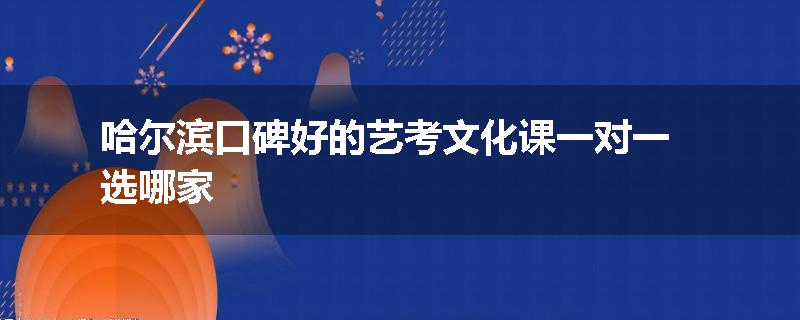 哈尔滨口碑好的艺考文化课一对一选哪家