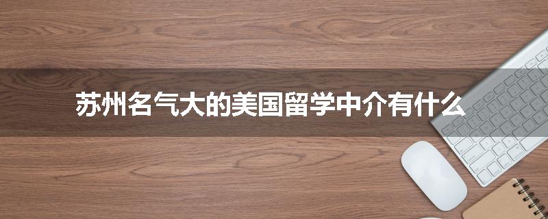 苏州名气大的美国留学中介有什么