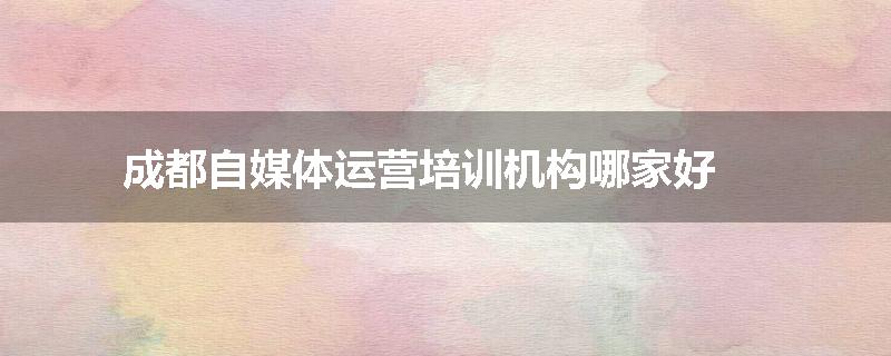 成都自媒体运营培训机构哪家好