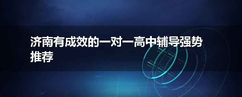 济南有成效的一对一高中辅导强势推荐