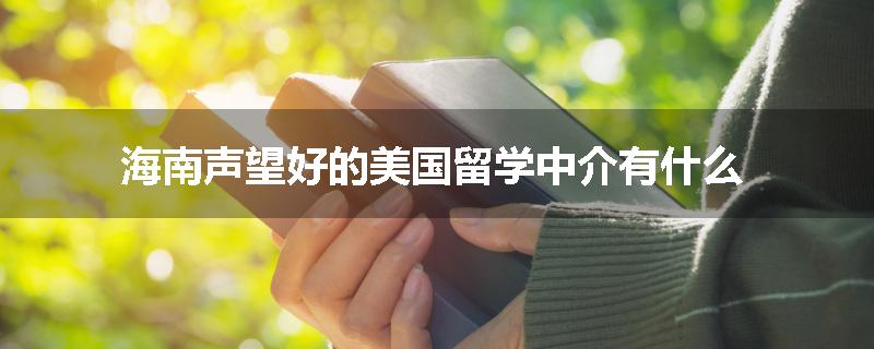 海南声望好的美国留学中介有什么