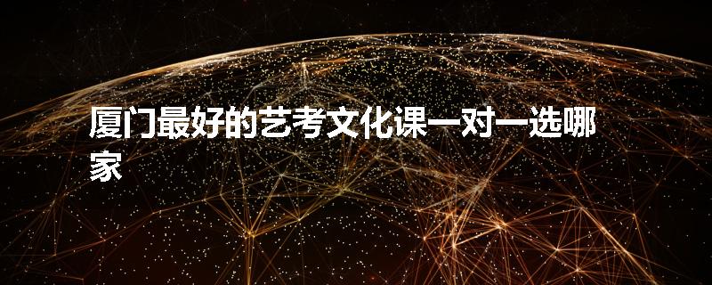 厦门最好的艺考文化课一对一选哪家
