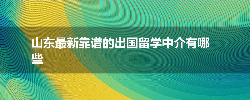 山东最新靠谱的出国留学中介有哪些