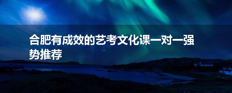合肥有成效的艺考文化课一对一强势推荐
