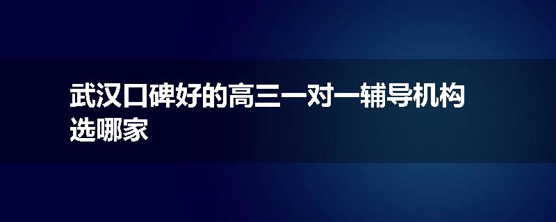 武汉口碑好的高三一对一辅导机构选哪家