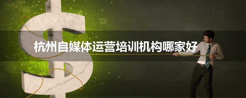 杭州自媒体运营培训机构哪家好