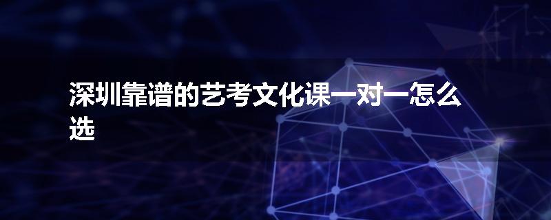 深圳靠谱的艺考文化课一对一怎么选