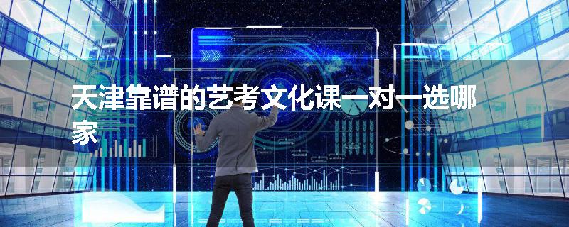 天津靠谱的艺考文化课一对一选哪家