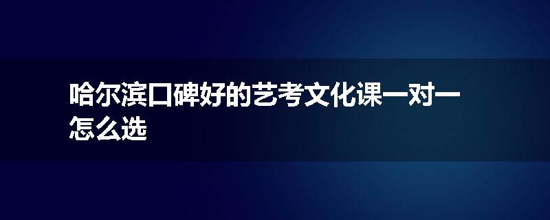 哈尔滨口碑好的艺考文化课一对一怎么选