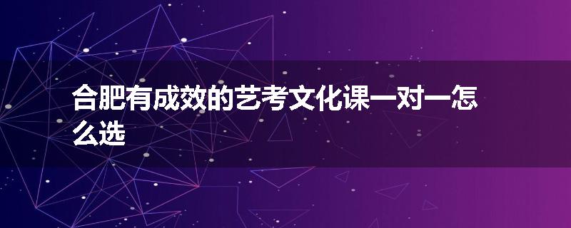 合肥有成效的艺考文化课一对一怎么选