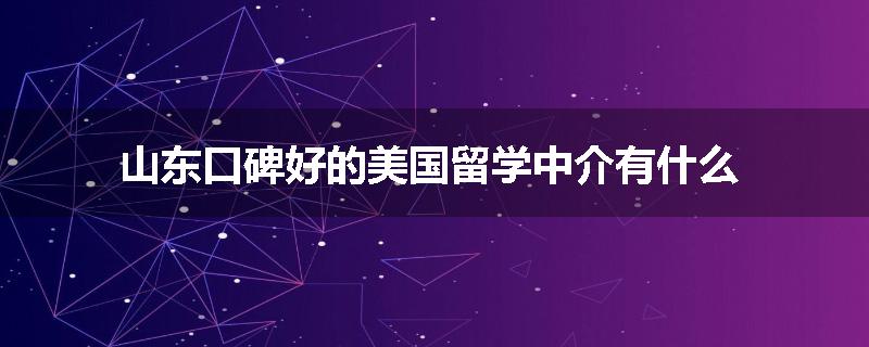 山东口碑好的美国留学中介有什么