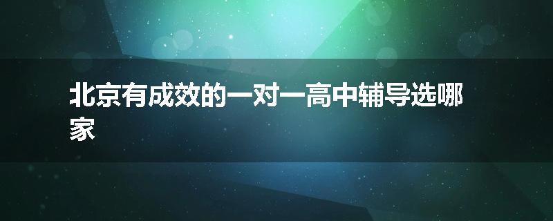 北京有成效的一对一高中辅导选哪家
