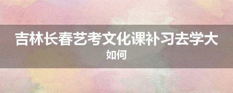 吉林长春艺考文化课补习去学大如何