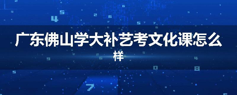 广东佛山学大补艺考文化课怎么样