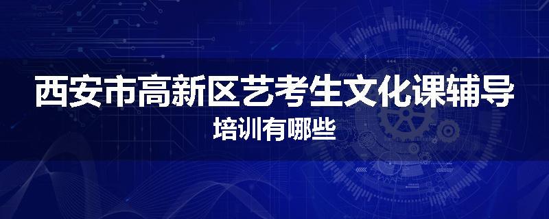 西安市高新区艺考生文化课辅导培训有哪些