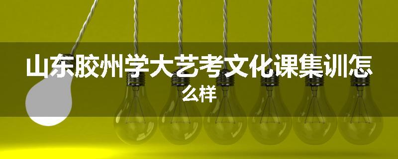 山东胶州学大艺考文化课集训怎么样