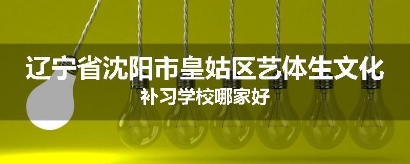 辽宁省沈阳市皇姑区艺体生文化补习学校哪家好