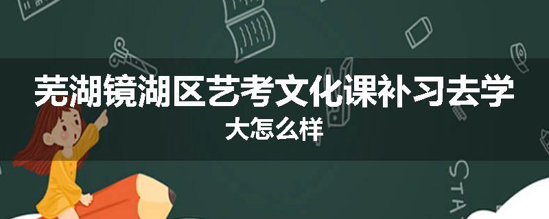 芜湖镜湖区艺考文化课补习去学大怎么样